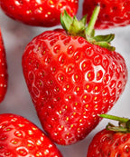 Single Variety Co: Sonata Strawberry Preserve 225g